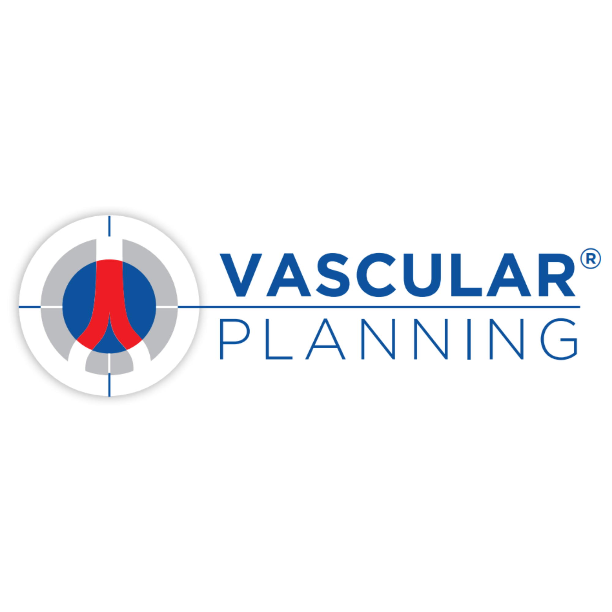 Vascular Planning